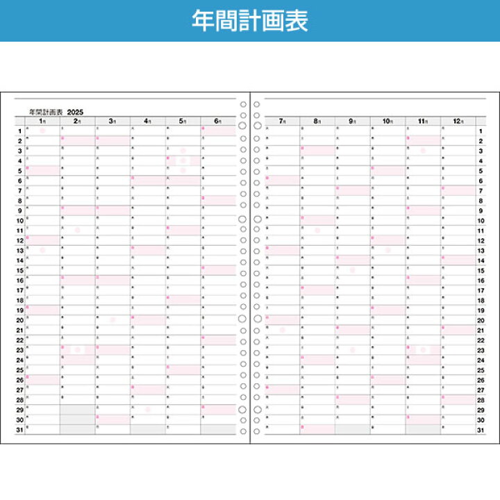 楽天市場】2025 ダイアリー 手帳 コレクト A4サイズ 日記リーフ 