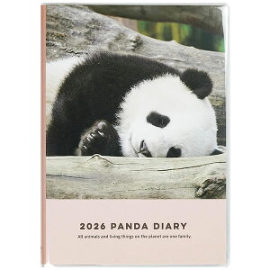 2026 _CA[ 蒠 O[eBOCt B6 p_ Qׂ CD-1380-PA \tgJo[ }X[EB[N[ 2026N1`2026N12