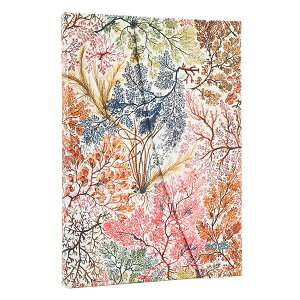 2026 _CA[ 蒠 y[p[uNX { n[hJo[ ~fB DJ1210-9 All }Olbg 2026N1`2026N12 ʍ~jm[gt Paperblanks