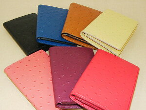 ySALEzI[Xgb` hP[X vi