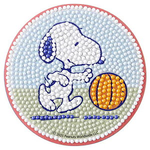 r[YLbg _ChtBbNXR[X^[ Xk[s[ oXPbg{[ DFCS-PN006 