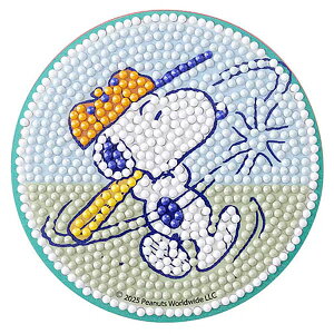 r[YLbg _ChtBbNXR[X^[ Xk[s[ x[X{[ DFCS-PN007 