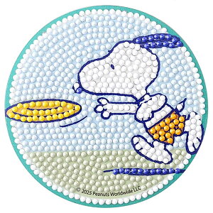 r[YLbg _ChtBbNXR[X^[ Xk[s[ tXr[ DFCS-PN008 