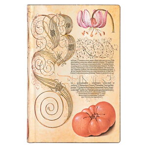 paperblanks y[p[uNX m[gubN Flexis ~jiMINIjTCY FB9350-3 Sg}g \tgJo[ 208 r