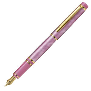 PILOT pCbg NM OZ }[usN FGRC-2MR-MAPiy vI/FEMj yF14K 3 (L)