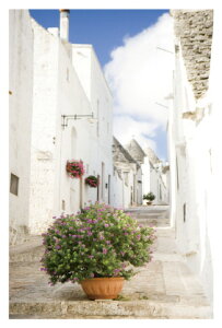  ǂ̏a@u AJgE|XgJ[ĥ݁v G͂E|XgJ[h@y[OKz