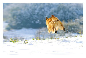  ͊ђ삯łI@G͂E|XgJ[h@y[OKz