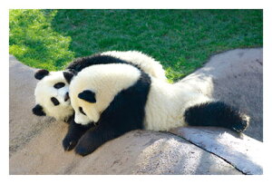  p_I@u˒[}V}vG͂E|XgJ[h@y[OKz