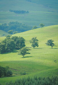  kC@V΂̔GuAJgE|XgJ[ĥ݁v G͂E|XgJ[h y[OKz