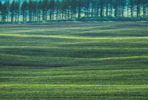  kC@̃r[huAJgE|XgJ[ĥ݁v G͂E|XgJ[h y[OKz