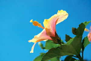 znCrXJX@u AJgE|XgJ[ĥ݁v G͂E|XgJ[h@y[OKz