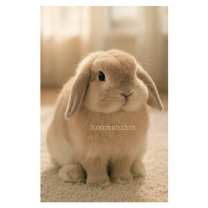  |XgJ[h 킢bLbwĽߌxp