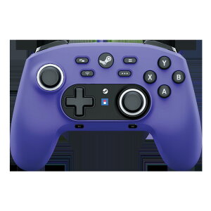 �y�z�������z���C�����X�z���p�b�h for steam ��������