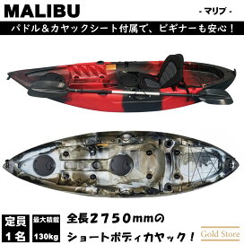 kayak-malibu1.jpg?fitin=272:272