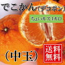 冷蔵発送【送料無料】愛媛県大三島産【完熟でこかん（デコポン）】【中玉4キロ】【ちょいキズ】【訳あり】でこぽん みかん ランキングお取り寄せ