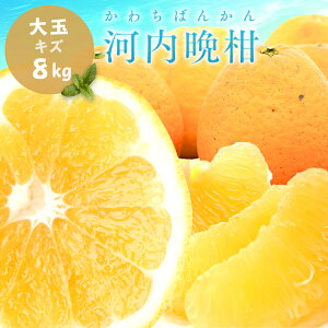 愛媛みかんの人気商品 通販 価格比較 価格 Com
