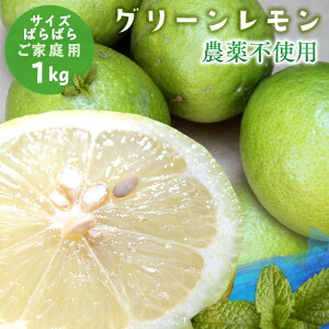 無農薬 レモンの人気商品 通販 価格比較 価格 Com