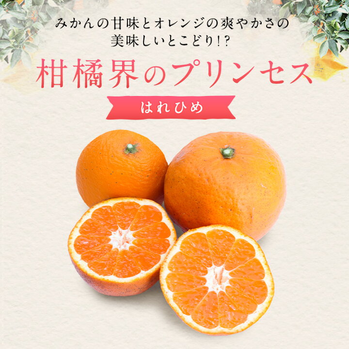 楽天市場】送料無料 はれひめ 大和撫子(見た目キレイ) 大玉 2.5kg 