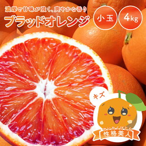 ���i�摜