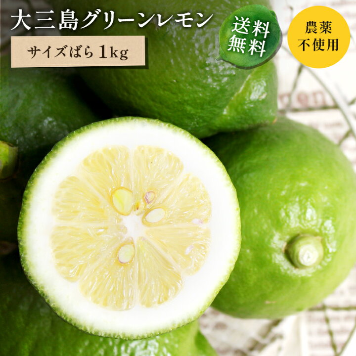 楽天市場】【最大800円OFFクーポン☆12/4 20:00〜12/11 1:59】送料無料 