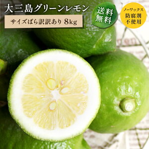 yő800~OFFN[|zz11/21 20:00~11/27 1:59z炲ƐHׂ Y(_͔|) `p g(󂠂) TCY΂ 8kg  m[bNXEhܕsgp Q O 