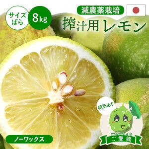 y󂠂z`p ( Y O[ )  ̎gpɂ͕sł 8kg  m[bNXEhܕsgp Q O  Y  Q ʕ t[c 󂠂 