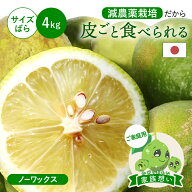 【早割10%OFF★10月中旬以降発送予定】皮ごと食べられる 瀬戸内グリーンレモン(減農薬栽培) 家族想い(家…