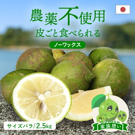 【最大800円OFFクーポン★12/4 20:00〜12/11 1:59】送料無料 国産グリーンレモン(農薬不使用) 家族想い(家庭用) サイズばら 2.5kg ◆ 愛媛県 大三島 お取り寄せ 国産 みかん 蜜柑 柑橘 果物 フルーツ 訳あり わけあり グルメ