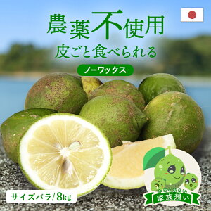 送料無料 国産グリーンレモン(農薬不使用) 家族想い(家庭用) サイズばら 8kg ◆ 愛媛県 大三島 お取り寄せ 国産 みかん 蜜柑 柑橘 果物 フルーツ 訳あり わけあり グルメ