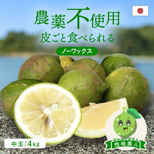 送料無料 国産グリーンレモン(農薬不使用) 性格美人(キズ) 中玉 4kg ◆ 愛媛県 大三島 お取り寄せ 国産 みかん 蜜柑 柑橘 愛媛みかん 果物 フルーツ 訳あり わけあり グルメ