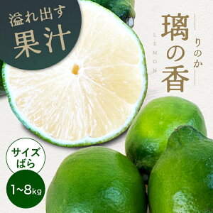 y|Cg5{11/14 10:00`11/16 23:59zY ̍îjƑz(ƒp) TCY΂1kg 2.5kg 4kg 8kg  Q O  Y  Q ʕ t[c 󂠂 킯