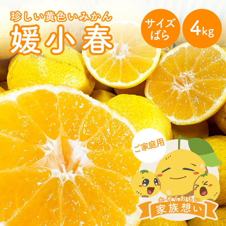 楽天市場】送料無料 媛小春 家族想い(キズ)サイズばら 4kg ◇ ひめ 