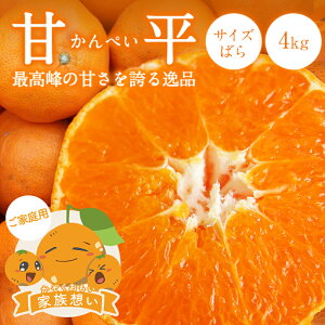 y10%OFF2026N3{ȍ~\z Õ Ƒz(ƒp) TCY΂ 4kg  Q O  Y ݂  k Q݂ ʕ t[c 󂠂 킯 O