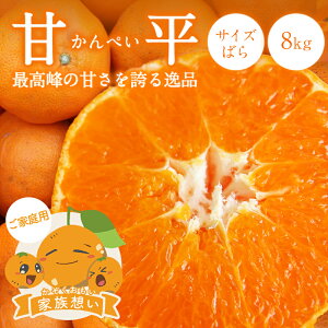 y10%OFF2026N3{ȍ~\z Õ Ƒz(ƒp) TCY΂ 8kg  Q O  Y ݂  k Q݂ ʕ t[c 󂠂 킯 O