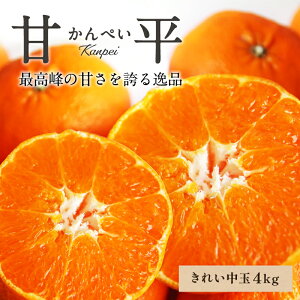 y10%OFF2026N3{ȍ~\z Õ aq(ꂢ)  4kg  Q O  Y ݂ Q݂ ʕ t[c  Mtg p v[g 蕨