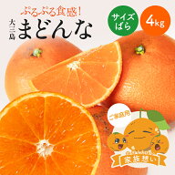 【ポイント5倍★9/19 20:00-9/24 1:59】【早割10%OFF★12月中旬以降発送予定】大三島まどんな 家族想い(…