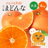 【ポイント5倍★9/19 20:00-9/24 1:59】【早割10%OFF★12月中旬以降発送予定】大三島まどんな 性格美人(…