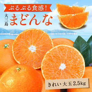 y10%OFF12{ȍ~\z O܂ǂ aq(ꂢ)  2.5kg  Q O  Y ݂ Q݂ ʕ t[c  Mtg p v[