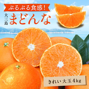 y10%OFF12{ȍ~\z O܂ǂ aq(ꂢ)  4kg  Q O  Y ݂ Q݂ ʕ t[c  Mtg p v[g 