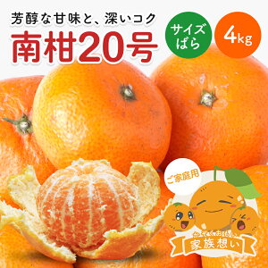 y10%OFF12{ȍ~\z 승20݂ Ƒz(ƒp) TCY΂ 4kg  Q O  Y ݂  k Q݂ ʕ t[c 󂠂 킯