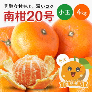 y10%OFF12{ȍ~\z 승20݂ il(LY)  4kg  Q O  Y ݂  k Q݂ ʕ t[c 󂠂 킯 O