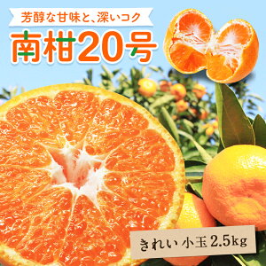 y10%OFF12{ȍ~\z 승20݂ aq(LC)  2.5kg  Q O  Y ݂ Q݂ ʕ t[c  Mtg p v[g