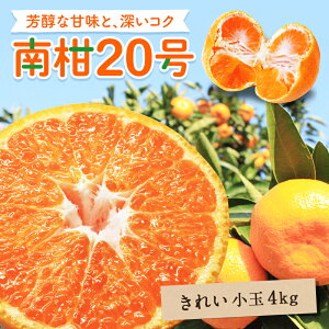 y10%OFF12{ȍ~\z 승20݂ aq(LC)  4kg  Q O  Y ݂ Q݂ ʕ t[c  Mtg p v[g 