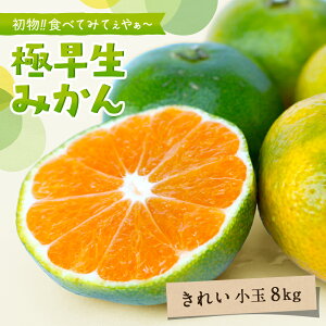  ɑ݂ aq(ꂢ)  8Kg ݂ ~J  Q݂ Q~J Ђ߂݂ Y ʕ t[c  zc QY