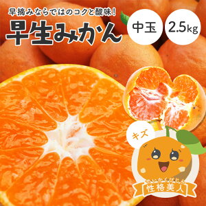 y10%OFF11{ȍ~\z ݂ il(LY)  2.5kg  Q O  Y ݂  k Q݂ ʕ t[c 󂠂 킯 O