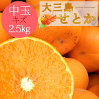 送料無料 せとか 性格美人(キズ) 中玉 2.5kg ◆ 愛媛県 大三島 お取り寄せ 国産 みかん 蜜柑 柑橘 愛媛みかん 果物 フルーツ 訳あり わけあり グルメ