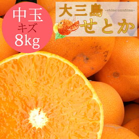 送料無料 せとか 性格美人(キズ) 中玉 8kg ◆ 愛媛県 大三島 お取り寄せ 国産 みかん 蜜柑 柑橘 愛媛みかん 果物 フルーツ 訳あり わけあり グルメ