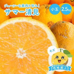�①���� �T�}�[���� �����₫�E�P�� ���i���l(�L�Y) ���� 2.5kg �� ���Q�� ��O�� ������ ���Y �݂��� ���� ���k ���Q�݂��� �ʕ� �t���[�c �󂠂� �킯���� �O����