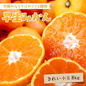 y5%OFF11{ȍ~\z ݂ aq(ꂢ)  8kg  Q O  Y ݂ Q݂ ʕ t[c  Mtg p v[g 