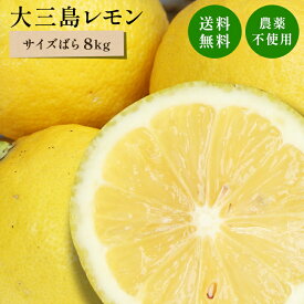 送料無料 国産レモン(農薬不使用) 家族想い(家庭用) サイズばら 2.5kg～8kg ◆ 愛媛県 大三島 お取り寄せ 国産 みかん 蜜柑 柑橘 果物 フルーツ 訳あり わけあり グルメ